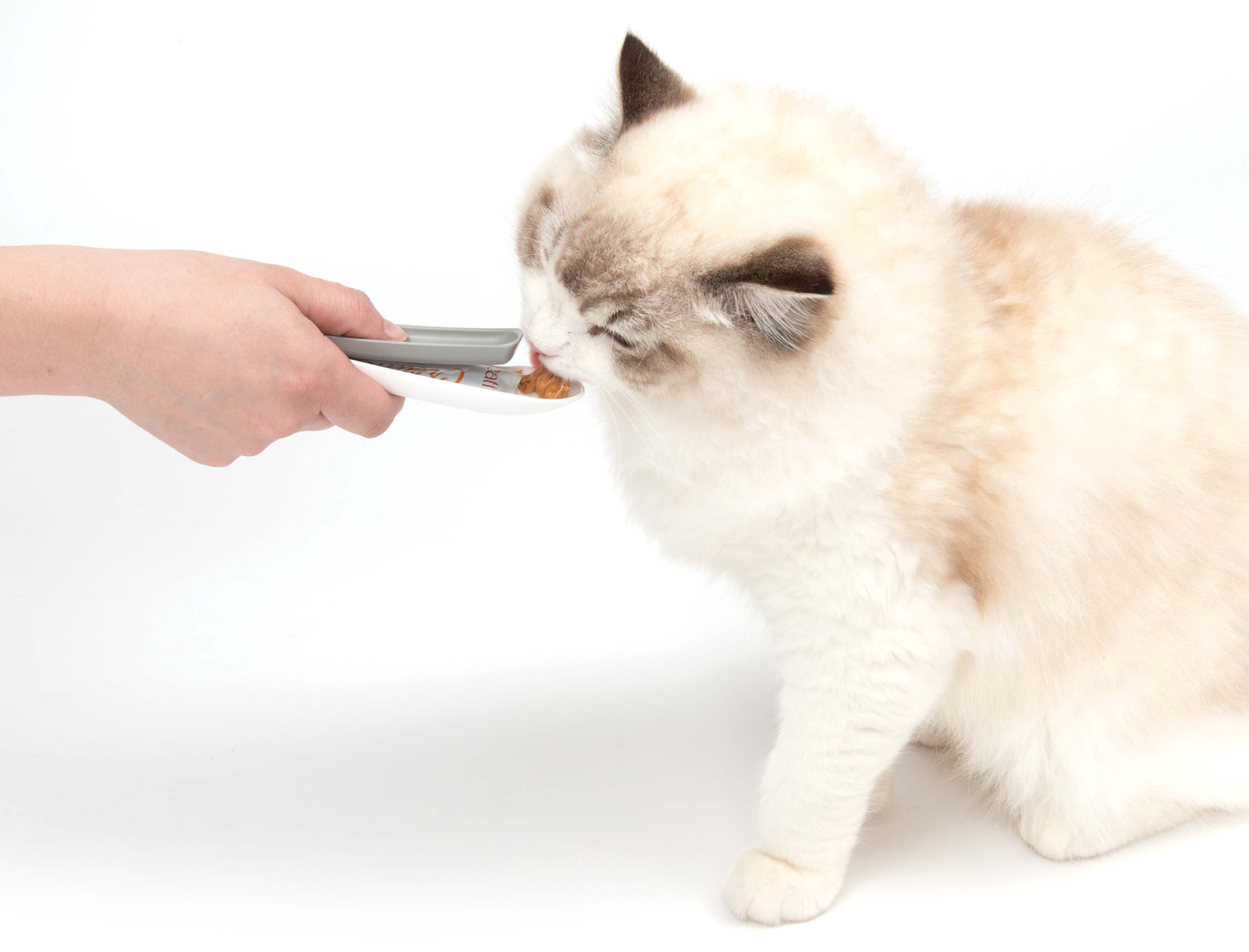 A person uses a Catit Creamy spoon to feed a treat to a fluffy cat against a white background