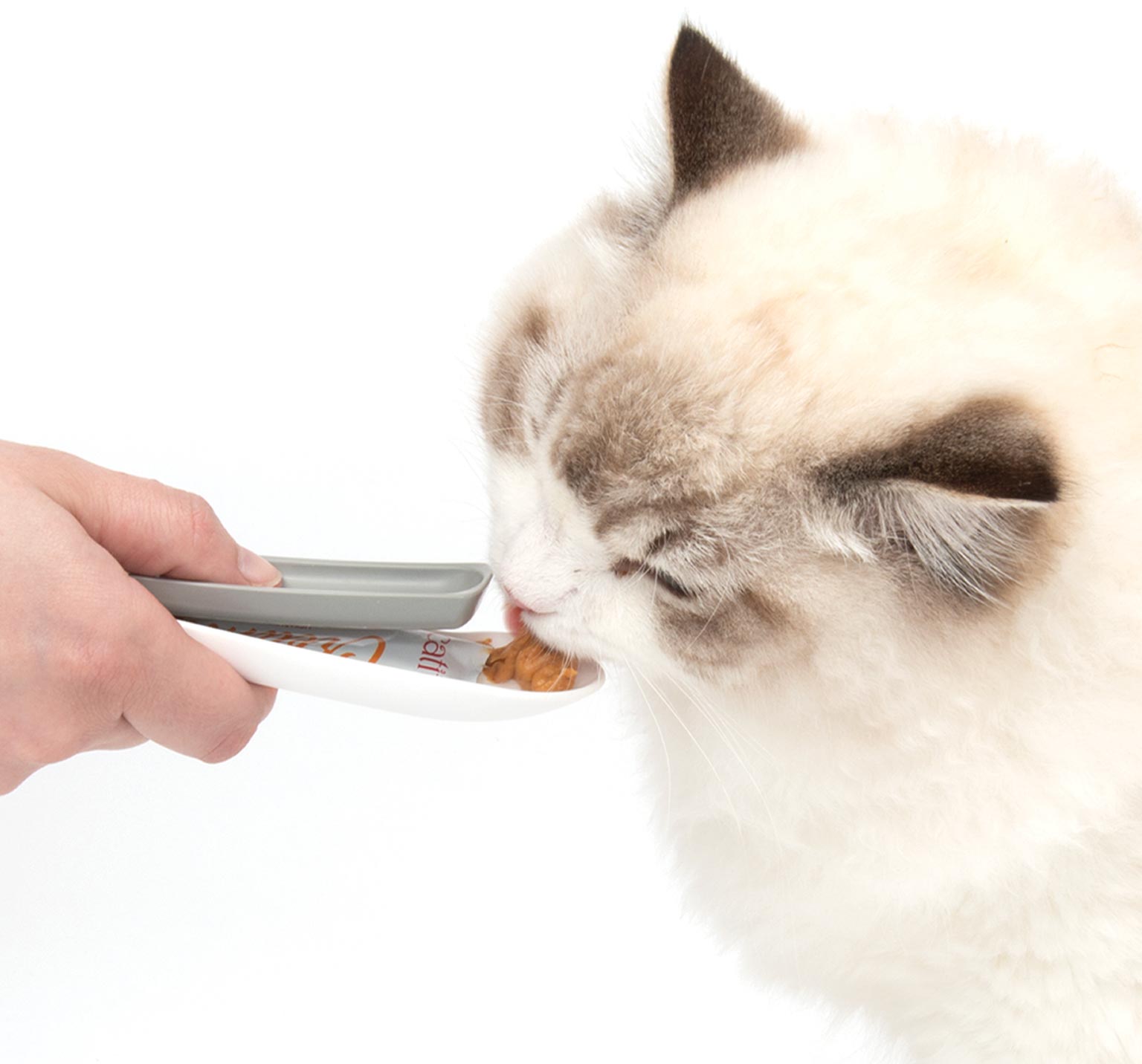 A person using a Catit Creamy spoon to feed a treat to a cat