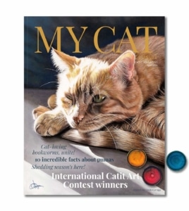 April 2024 issue of My Cat magazine featuring a cat illustration and articles on pumas and shedding season