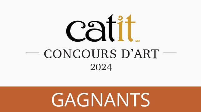 Concours d'Art Catit 2024