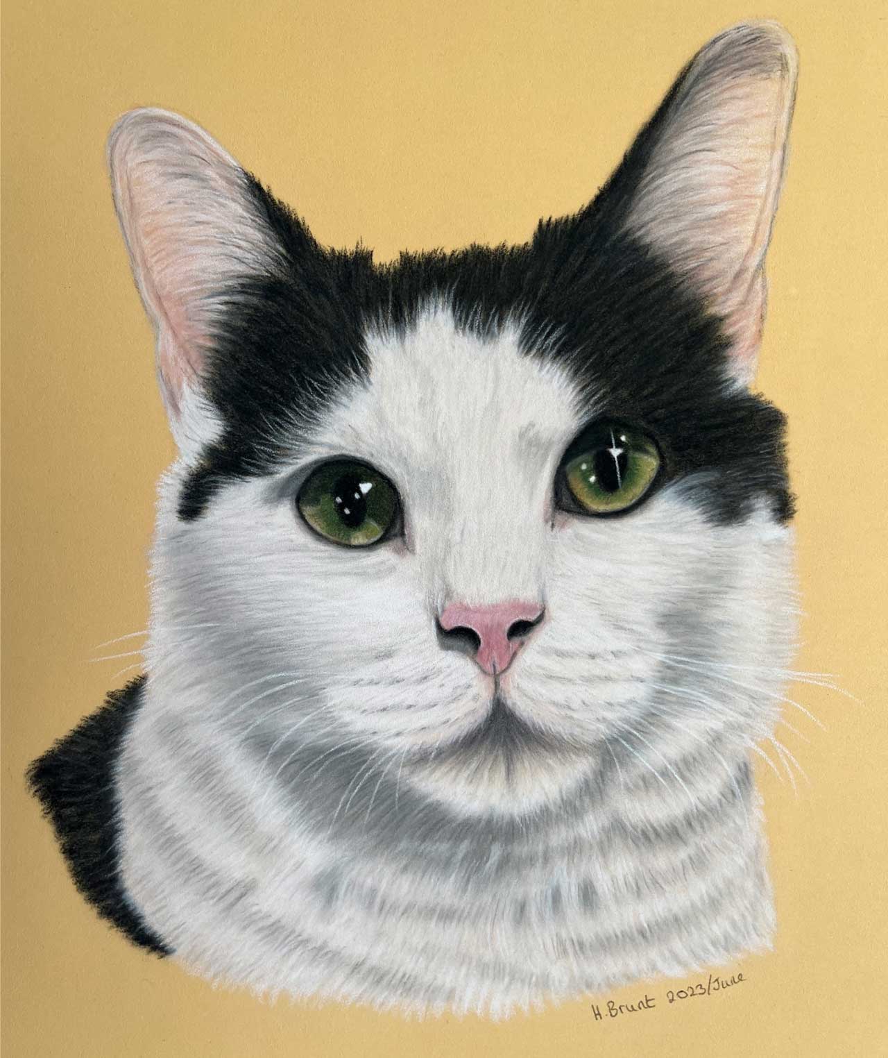 A detailed colored pencil portrait of a black and white cat with green eyes against a yellow background