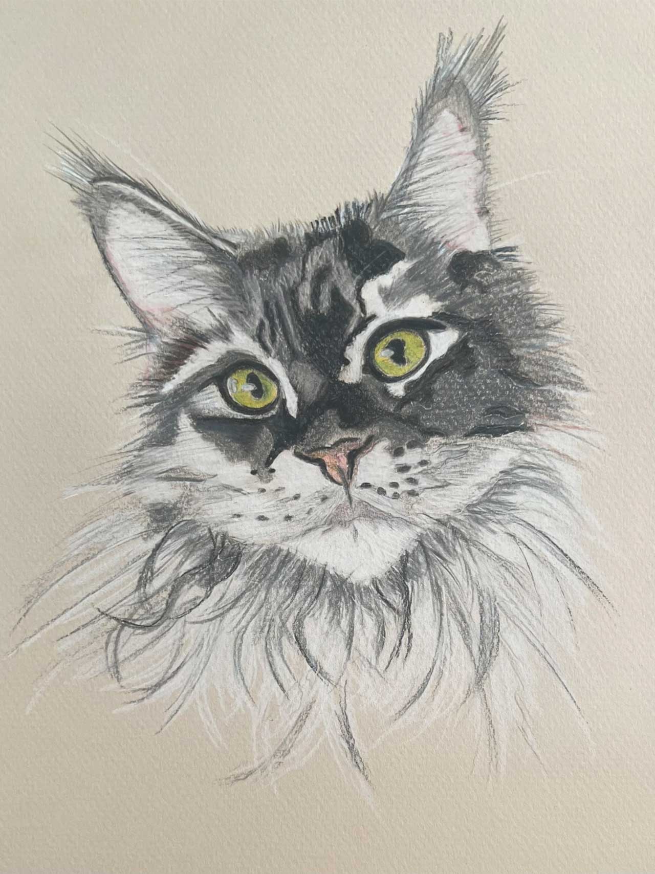 A colored pencil drawing of a Maine Coon cat with long ear tufts and bright green eyes on a light tan background