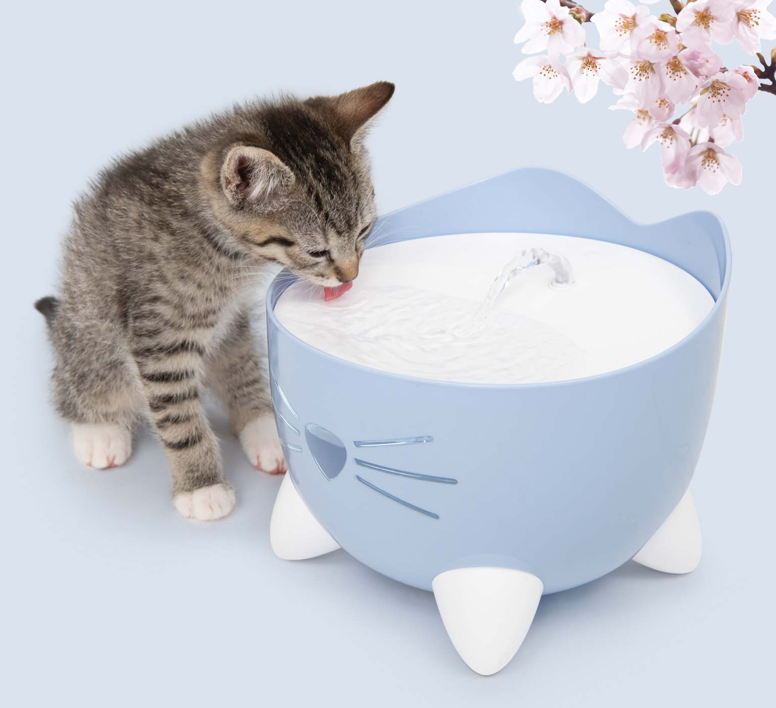 A tabby kitten drinking from a blue cat-shaped water fountain with cherry blossoms in the background