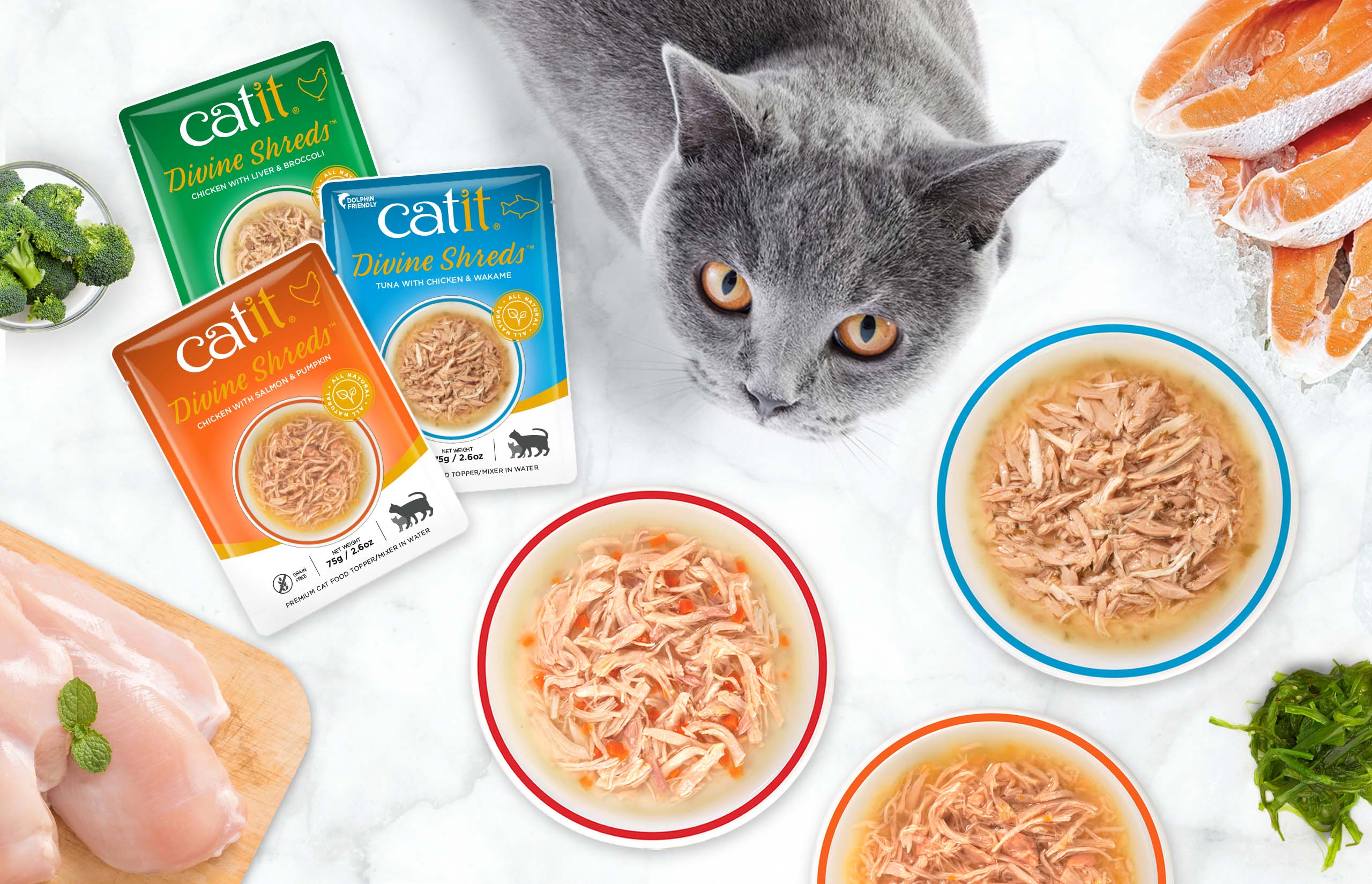 A grey cat looking at three bowls of Catit Divine Shreds cat food, accompanied by raw chicken, salmon, broccoli, and wakame