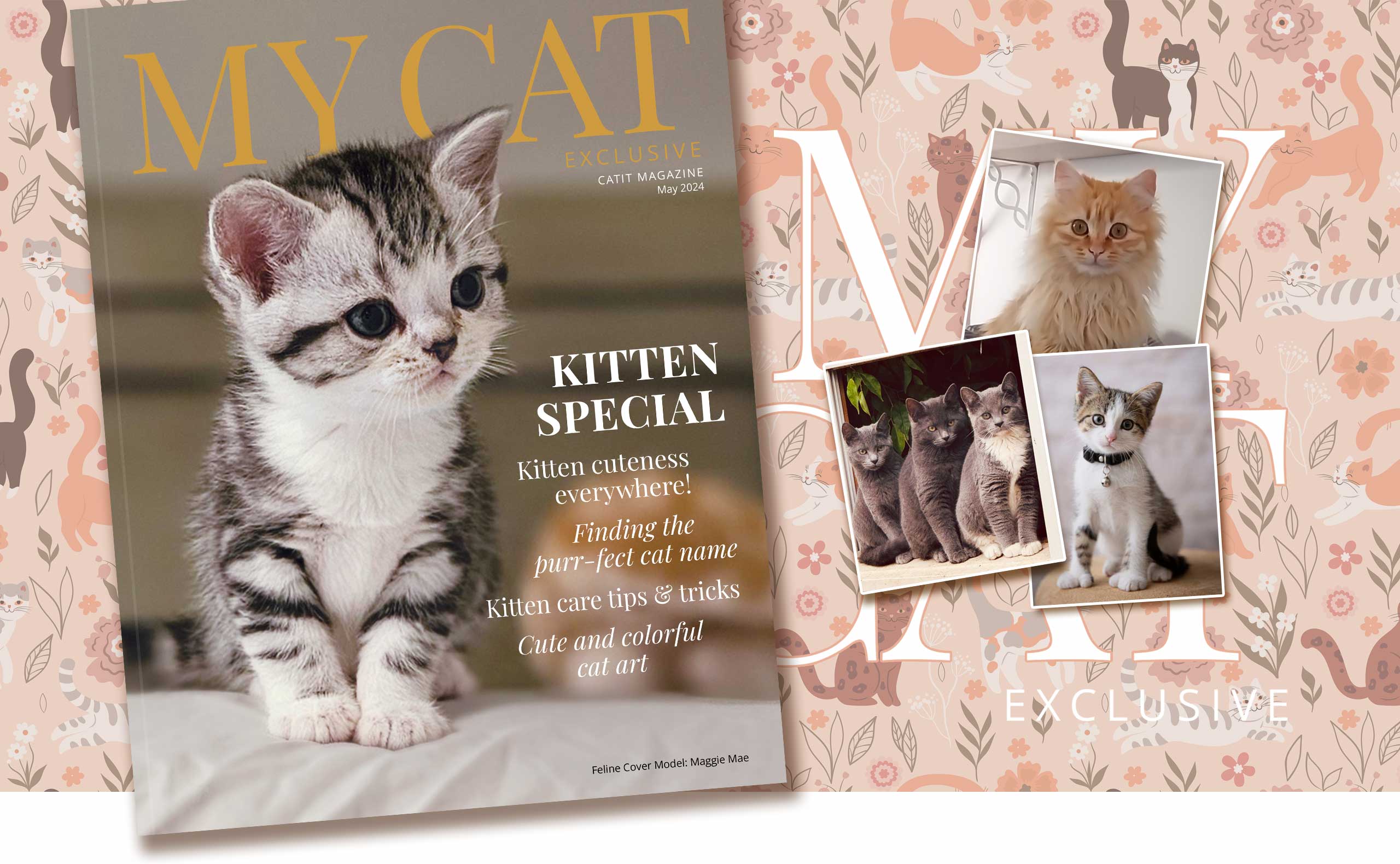 Catit My Cat magazine cover for May 2024 featuring a kitten special with care tips, naming advice, and cat art