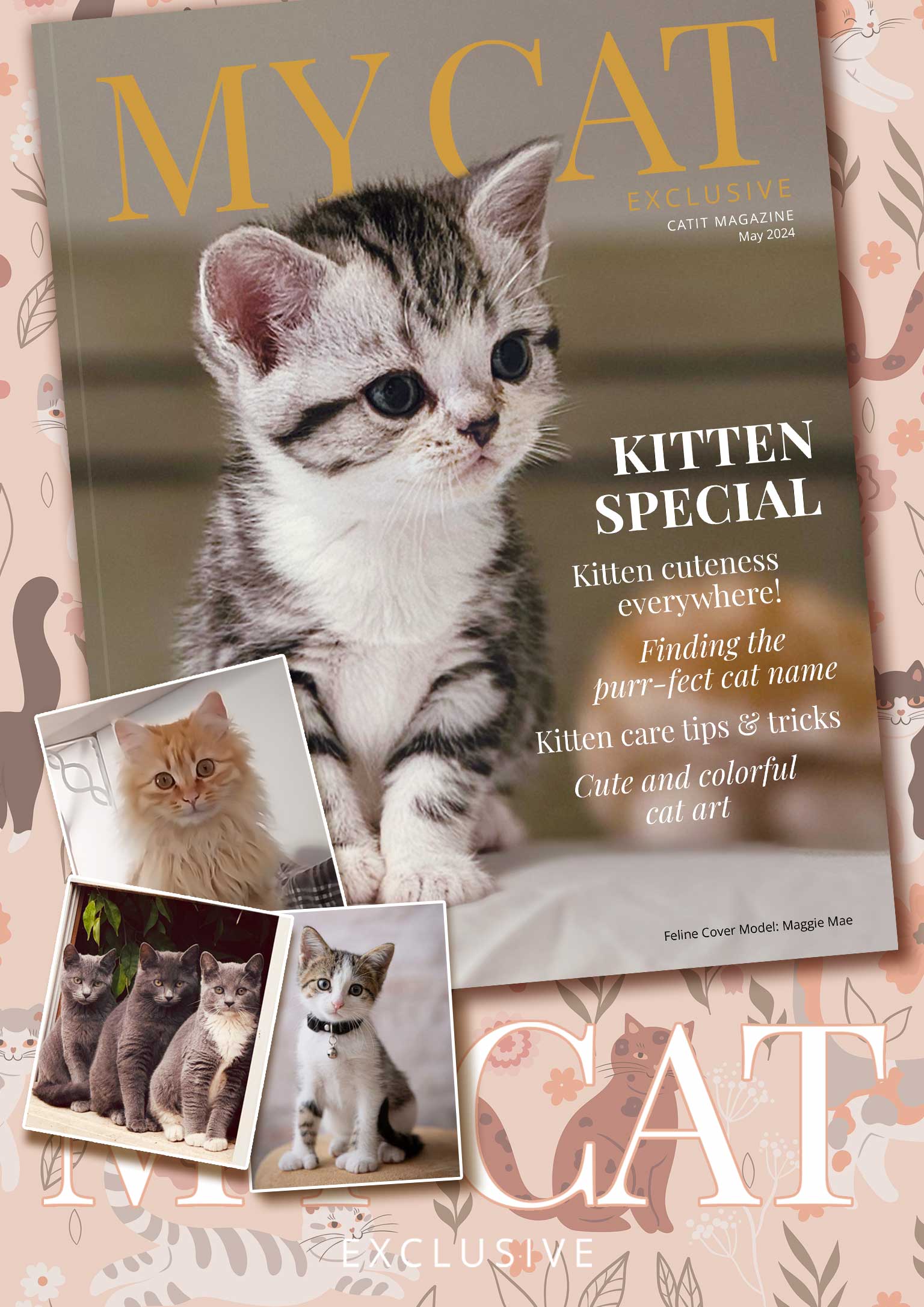 My Cat magazine cover for May 2024 featuring a kitten special with articles on cat care, naming, and art
