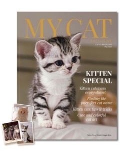 May 2024 issue of My Cat magazine featuring a kitten on the cover and articles on kitten care, naming, and cat art
