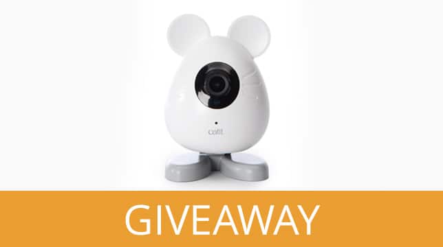 Catit PIXI Smart Mouse Camera Giveaway