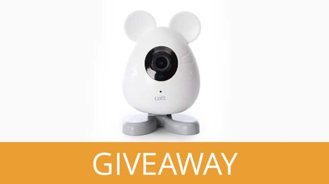 Catit PIXI Smart Mouse Camera for a giveaway promotion