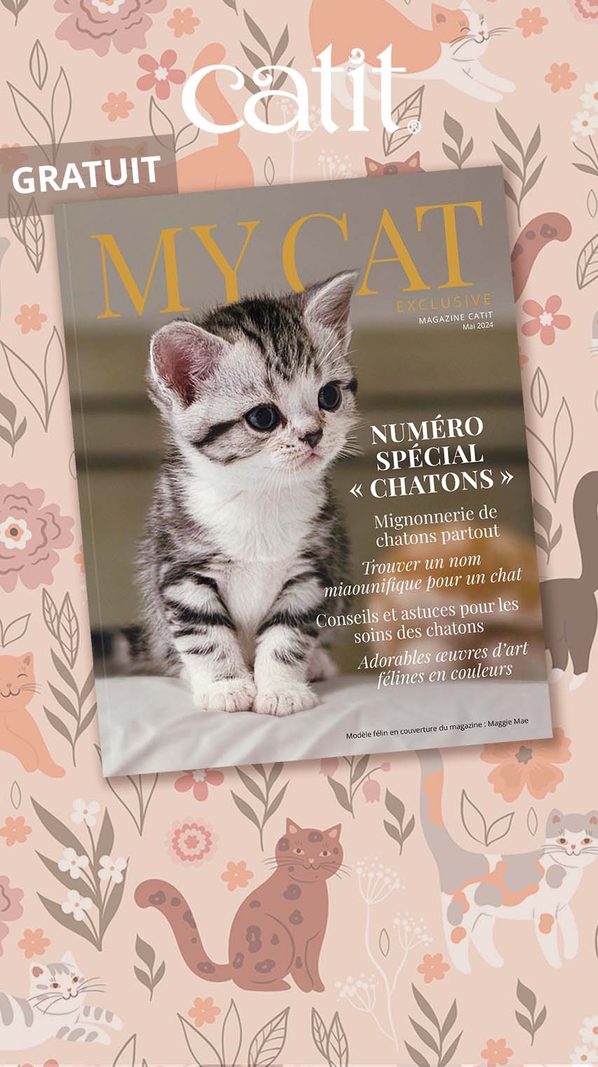 My Cat Exclusive - Mai 2024 Frame