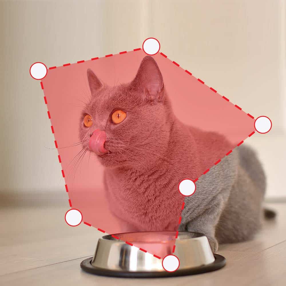 A grey cat licking its nose while sitting in front of a metal food bowl, with a digital selection overlay on the cat