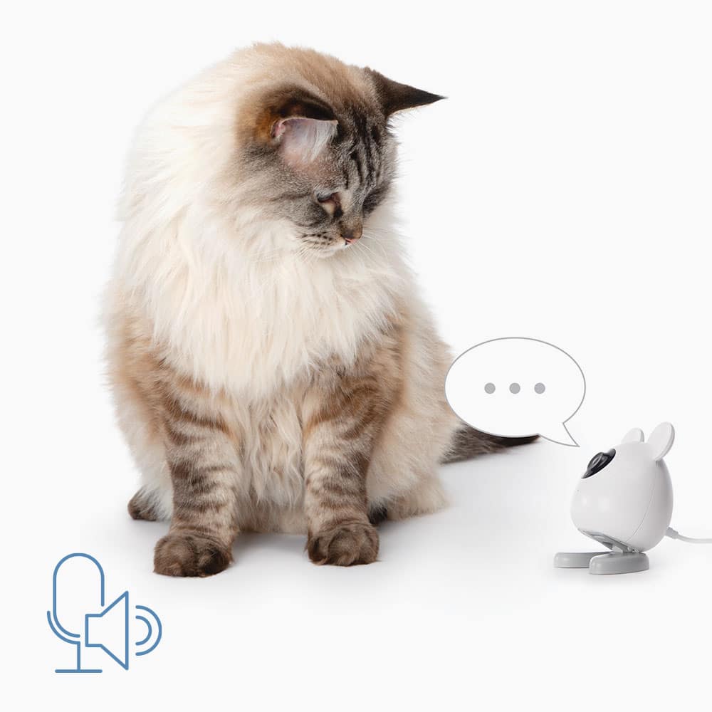 A fluffy cat looking at a small, white mouse-shaped camera with a speech bubble icon and a microphone icon nearby