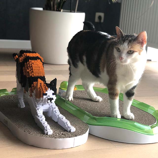 A calico cat stands on a Catit cardboard scratcher next to a matching 3D block model of a stretching cat
