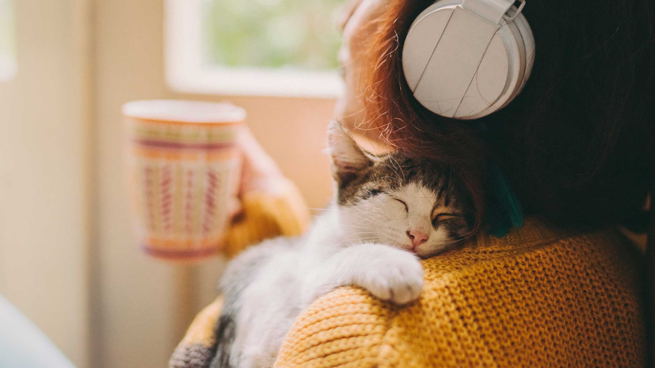 A person wearing a yellow sweater and headphones holds a mug while a small cat sleeps peacefully on their shoulder