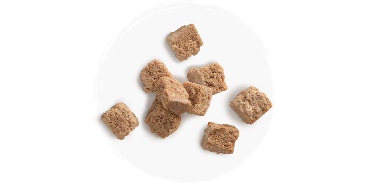 Freeze-dried raw duck treat cubes for cats