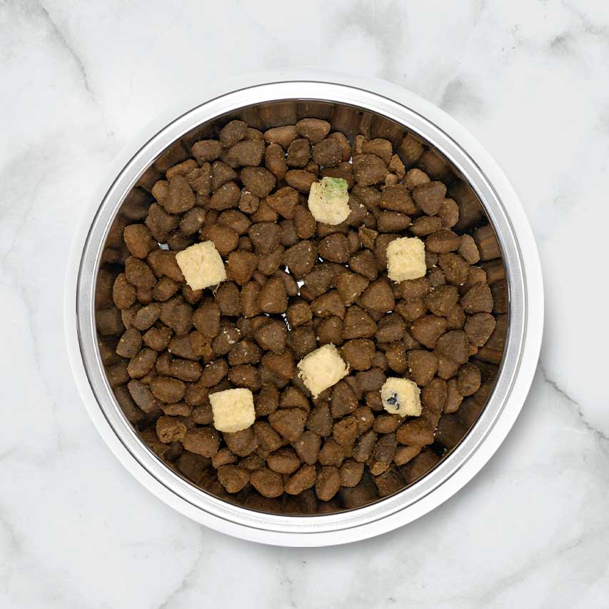 A metal bowl filled with brown kibble topped with five freeze-dried raw food cubes