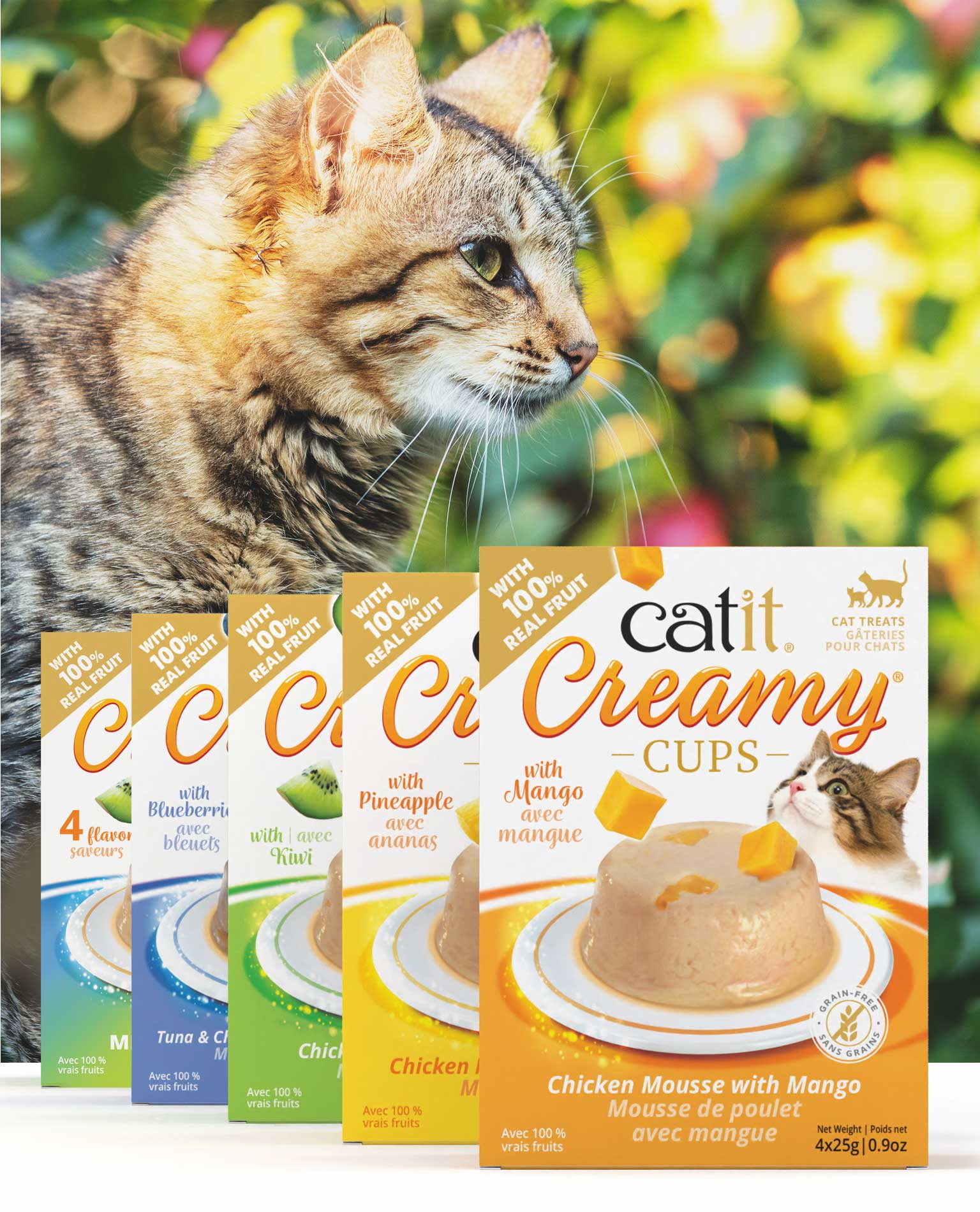 Catit Creamy Cups cat treats in various flavors including chicken with mango, chicken with pineapple, and tuna with blueberries