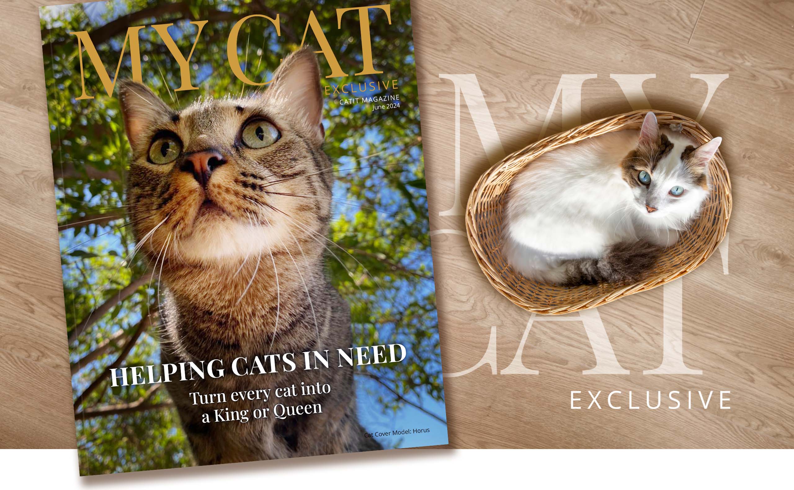 Catit Magazine June 2024 issue featuring a tabby cat on the cover and a white cat in a basket on a wooden background
