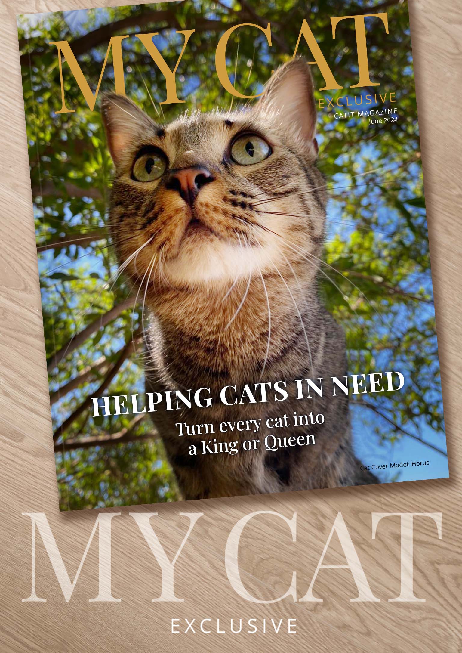 Catit magazine cover for June 2024 featuring a tabby cat named Horus with the headline Helping Cats in Need