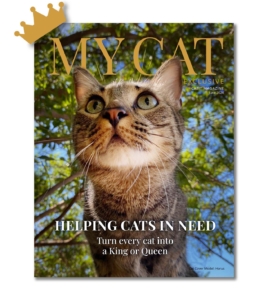 Catit Magazine cover for June 2024 featuring a tabby cat named Horus with the headline Helping Cats in Need