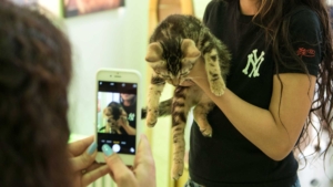 A person holding a tabby kitten while another person takes a photo of it with a smartphone