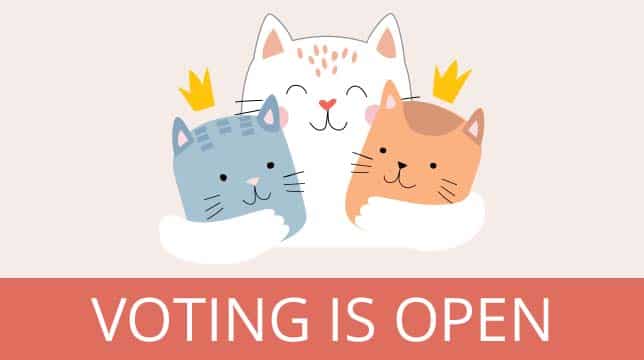 Voting is open for the Catit cat photo contest