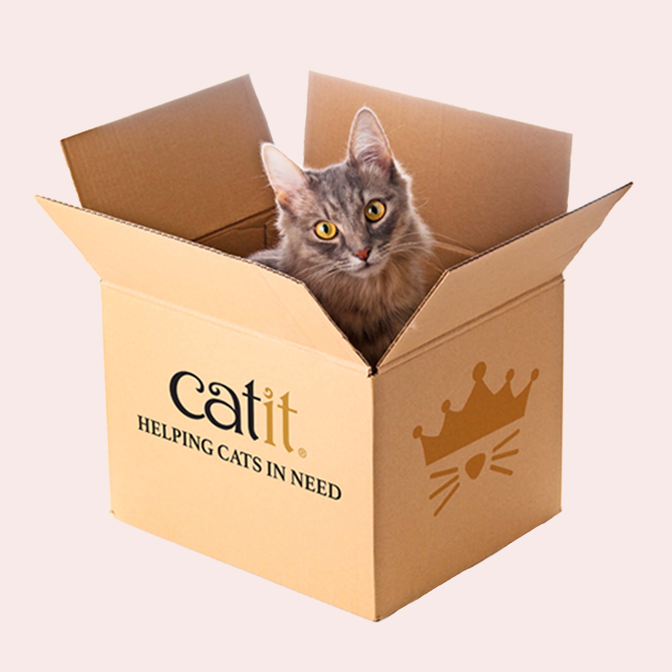 A grey cat sitting inside a cardboard shipping carton branded with the Catit logo and the text Helping Cats in Need