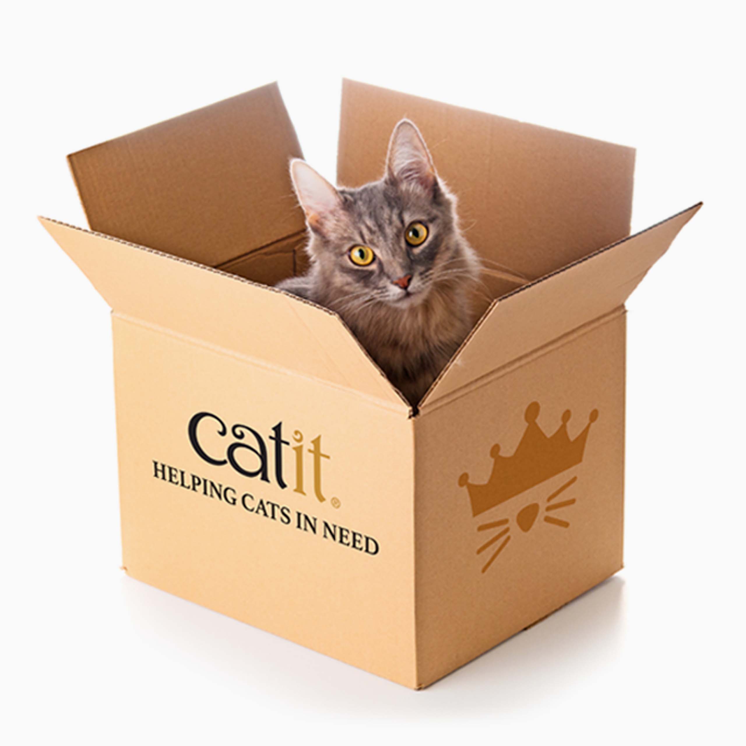 A grey cat sitting inside a cardboard shipping carton labeled Catit Helping Cats in Need