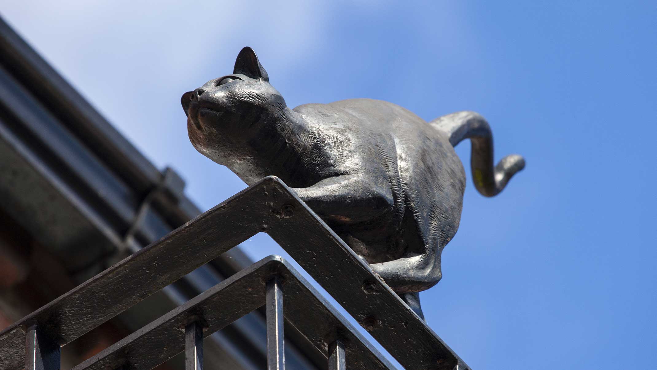 A bronze cat sculpture perched on a metal railing against a blue sky in York