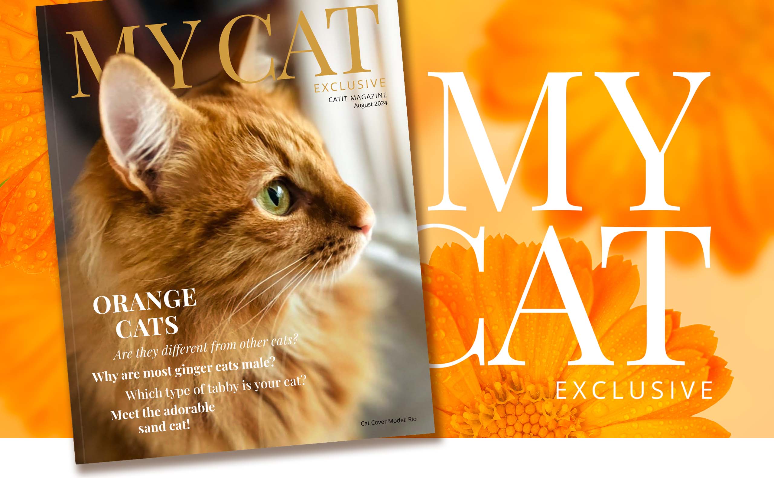 Catit My Cat magazine cover for August 2024 featuring an orange tabby cat and articles about orange cats