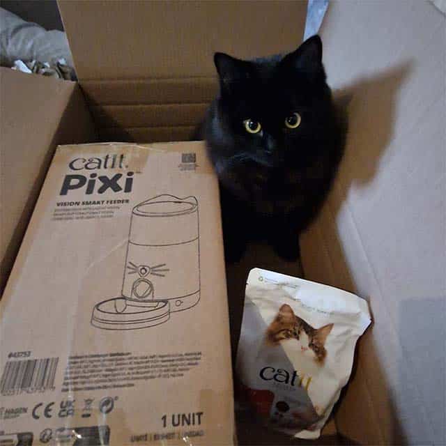 A black cat sits inside a shipping carton next to PIXI Vision Smart Feeder packaging and a bag of cat treats