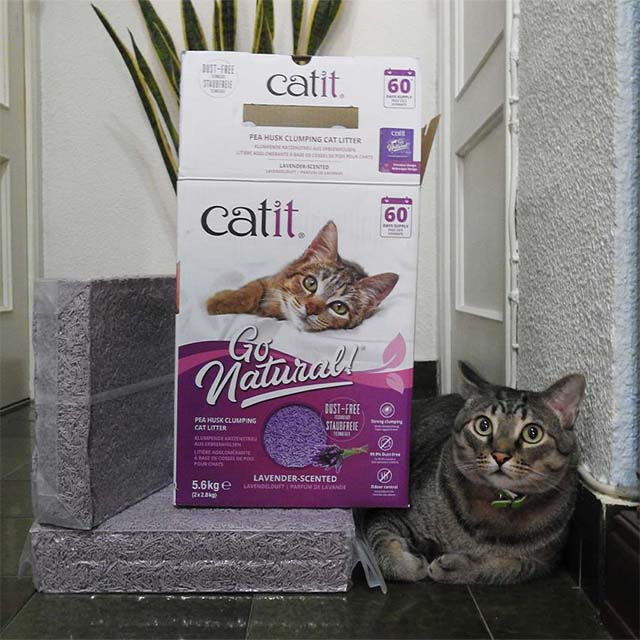 A tabby cat sits next to Catit Go Natural pea husk clumping cat litter packaging and two vacuum-sealed litter refills