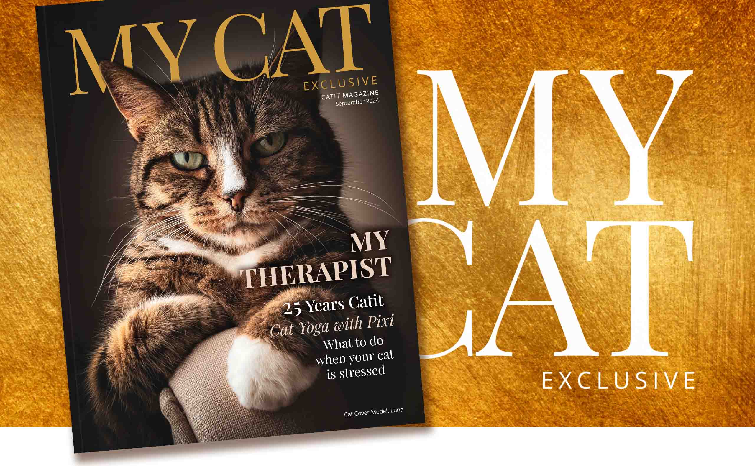 Promotional banner for the September 2024 issue of My Cat magazine featuring a tabby cat and articles on PIXI, cat yoga, and stress relief