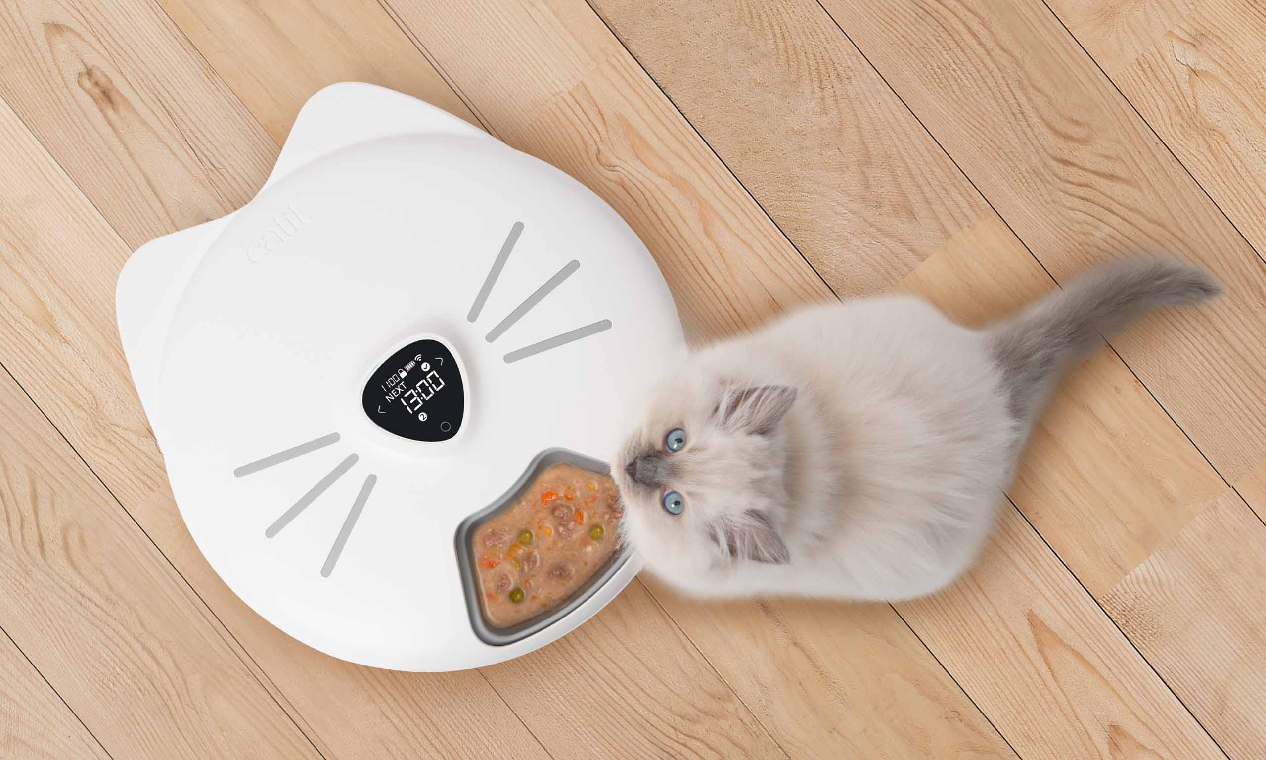A fluffy kitten eating wet food from a white PIXI smart feeder on a wooden floor