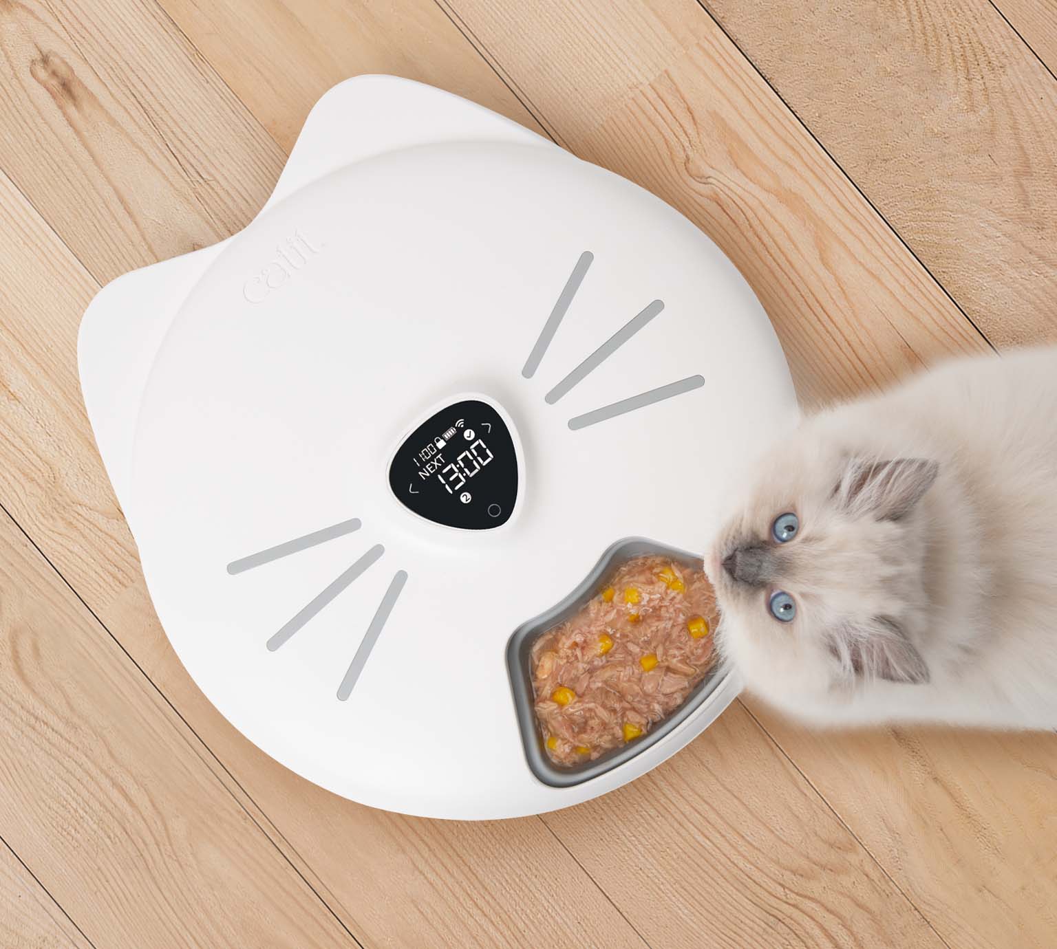 A white Catit PIXI smart feeder shaped like a cat head with a bowl of wet food and a fluffy kitten nearby on a wooden floor