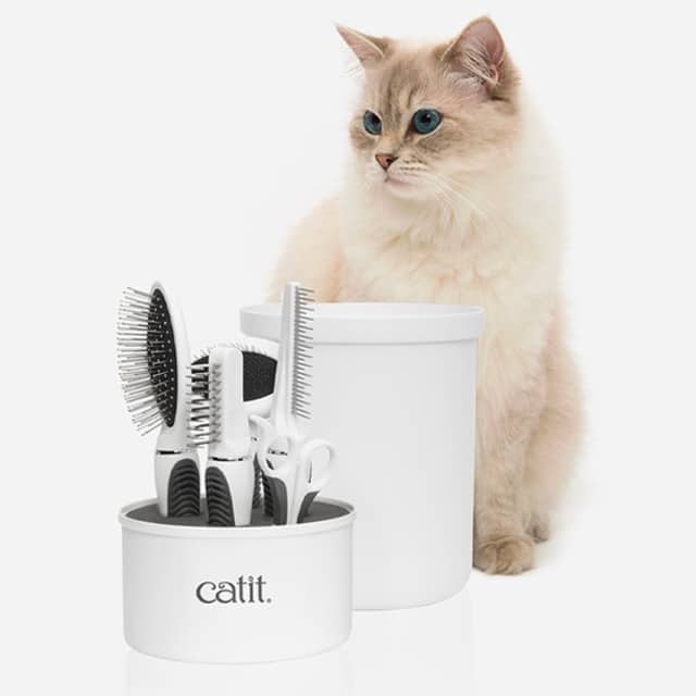 A fluffy cat sitting next to a Catit grooming kit containing various brushes and tools in a white storage container