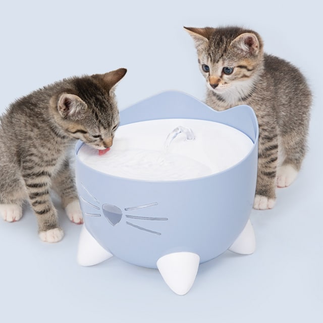 Two tabby kittens next to a light blue cat-shaped Catit PIXI water fountain, with one kitten drinking from it