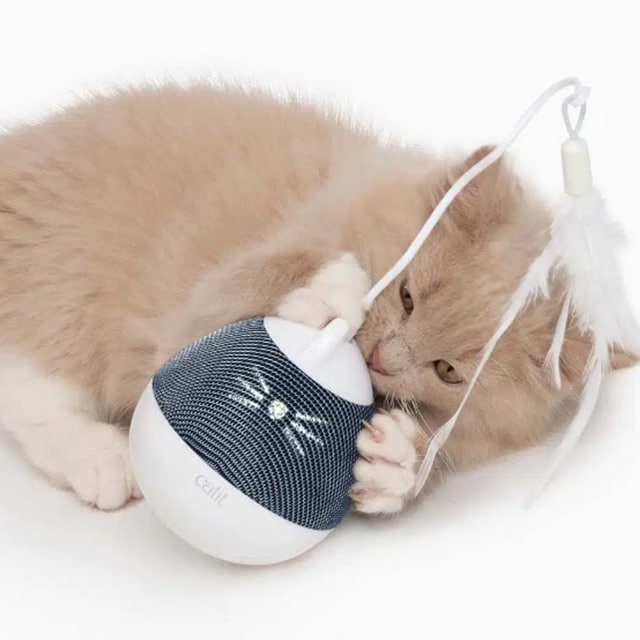 A fluffy kitten playing with a Catit PIXI Spinner toy featuring a feather attachment