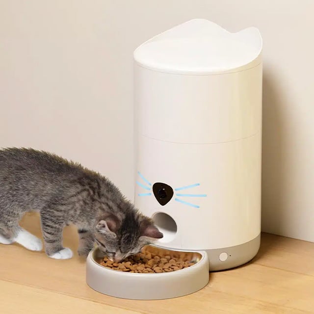 A small tabby kitten eating from a white Catit PIXI smart feeder