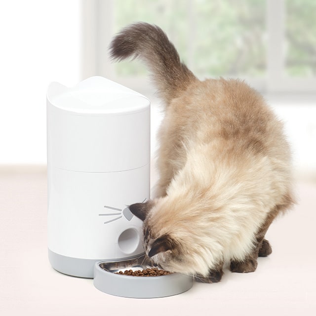 A fluffy cat eating dry food from a white Catit PIXI Smart feeder with a stainless steel bowl