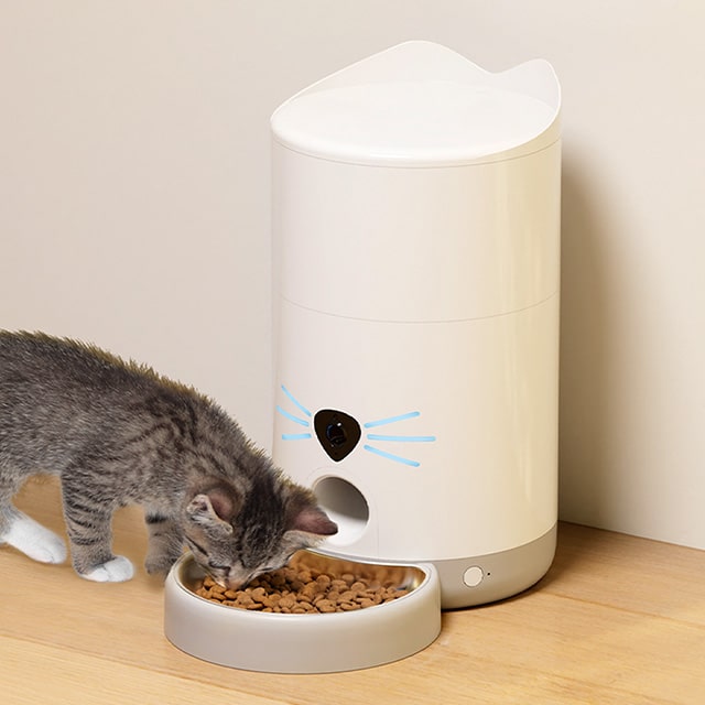 A tabby kitten eating from a white Catit PIXI Smart Vision Feeder on a wooden floor