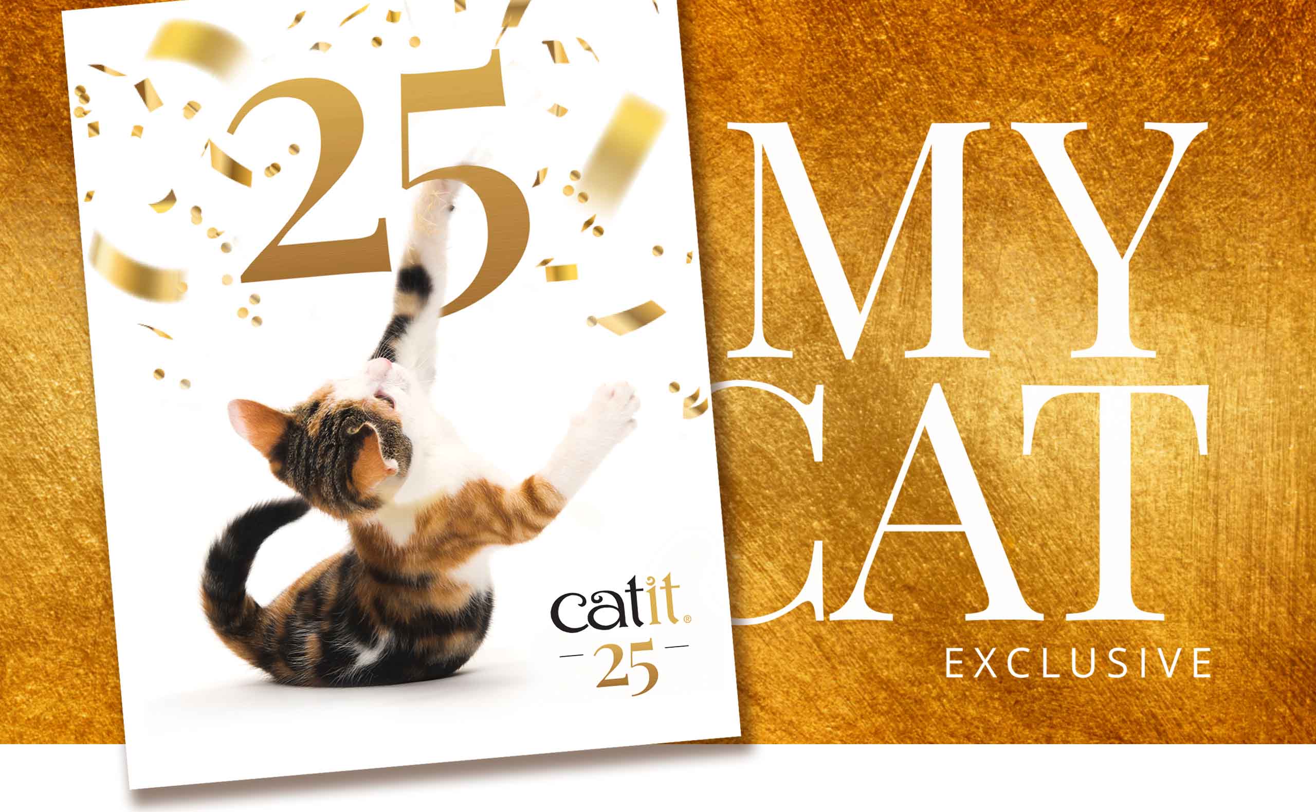 Catit 25th anniversary promotional banner featuring a calico cat playing with gold confetti