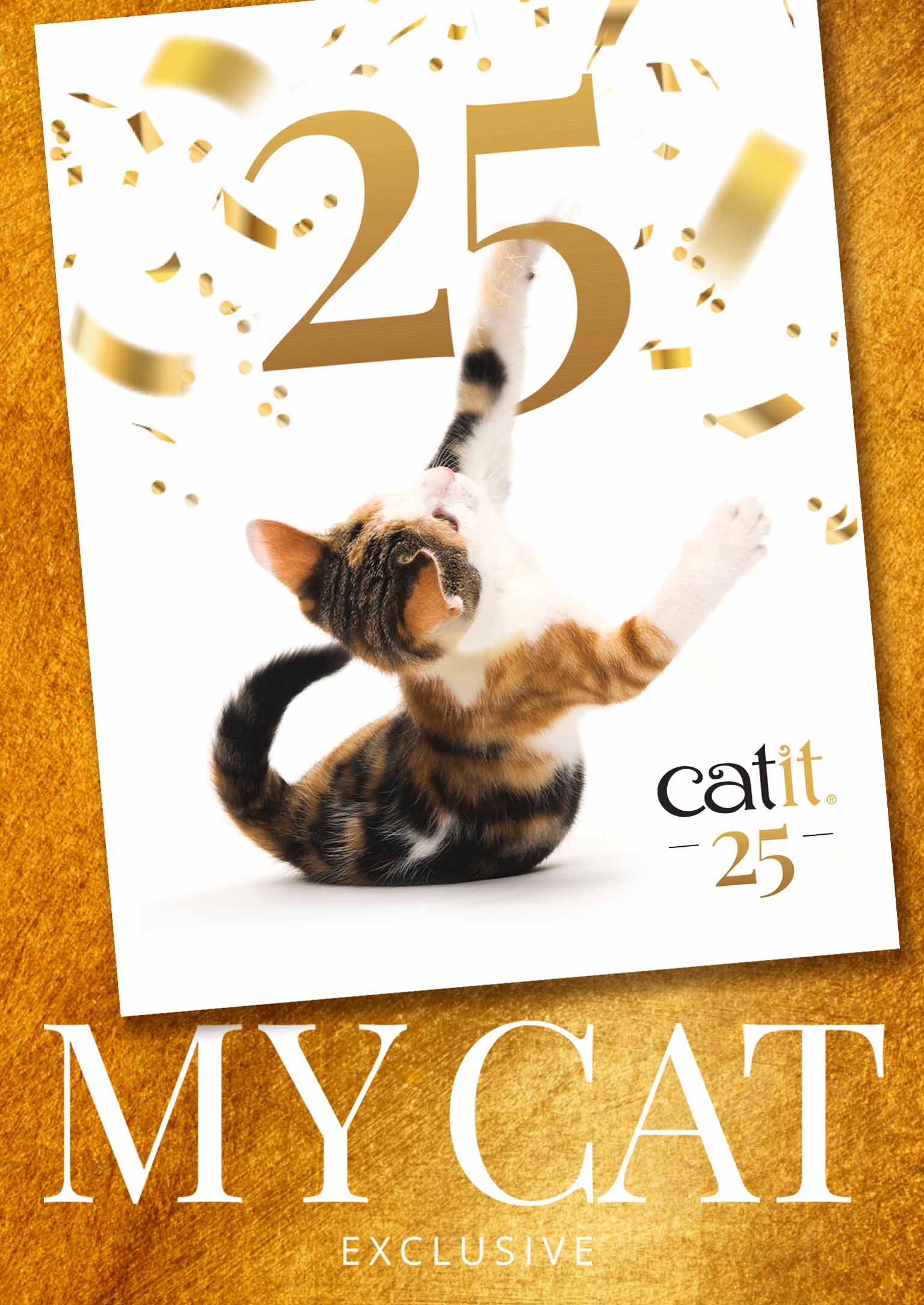 Catit 25th anniversary promotional banner featuring a calico cat reaching for gold confetti
