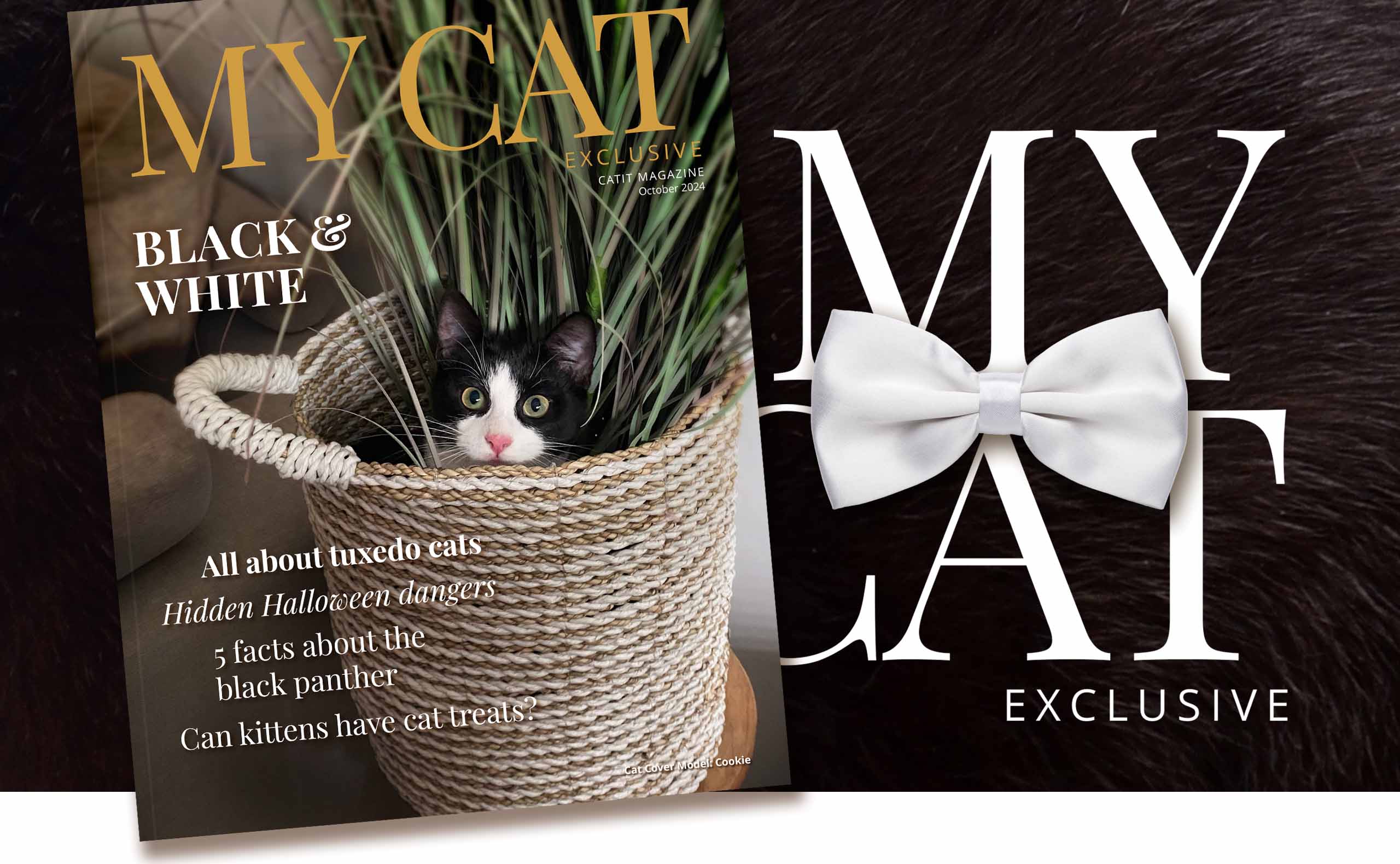 Catit My Cat magazine cover for October 2024 featuring a tuxedo cat in a basket and articles on cat care and Halloween safety