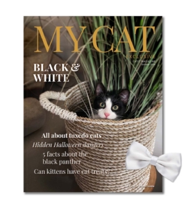 October 2024 issue of My Cat magazine featuring a tuxedo cat in a basket and articles about tuxedo cats and Halloween safety