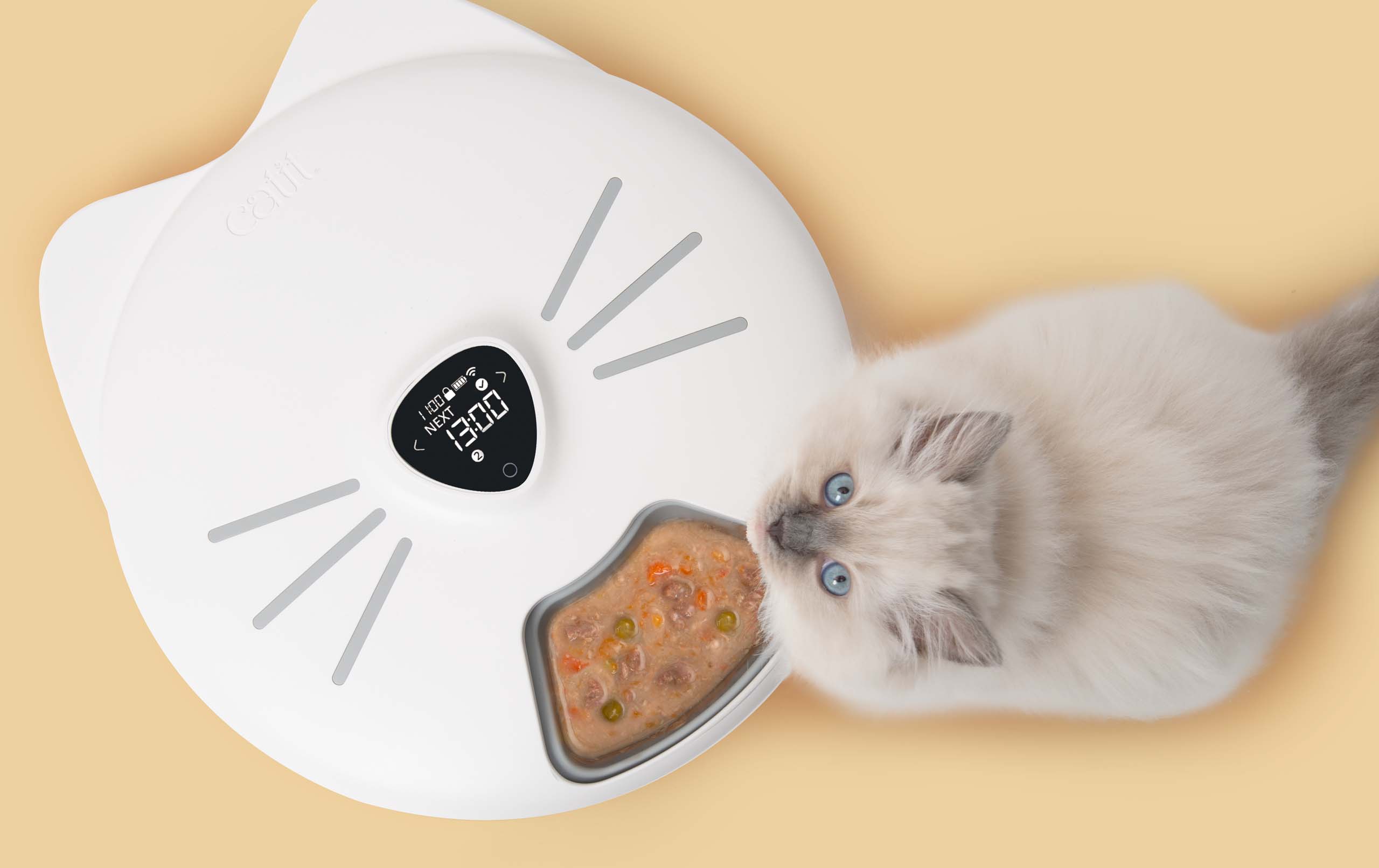A fluffy kitten looking at a white Catit PIXI smart 6-meal feeder containing wet food on a light background