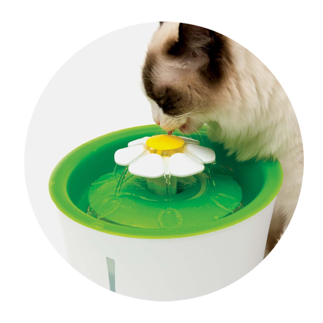 A cat drinking from a Catit flower-shaped water fountain