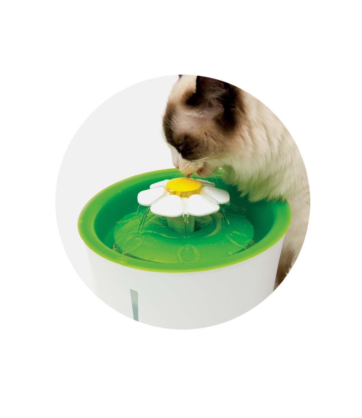 A cat drinking from a Catit flower fountain
