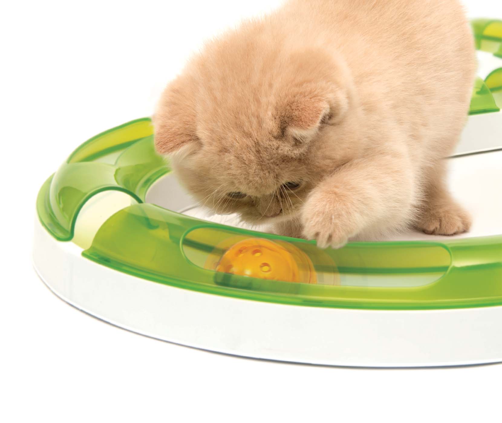 A light-colored kitten playing with a yellow ball inside a green and white circular Catit track toy