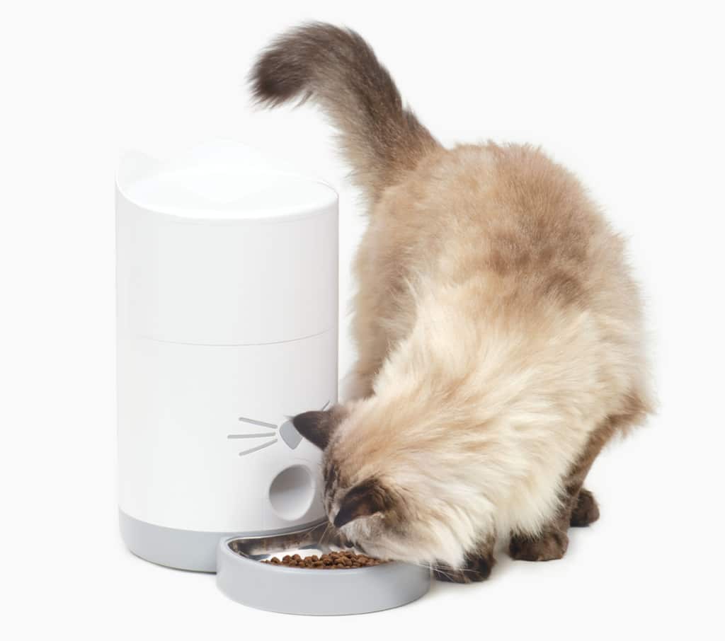 A fluffy cat eating dry food from a white Catit PIXI automatic feeder with a stainless steel bowl